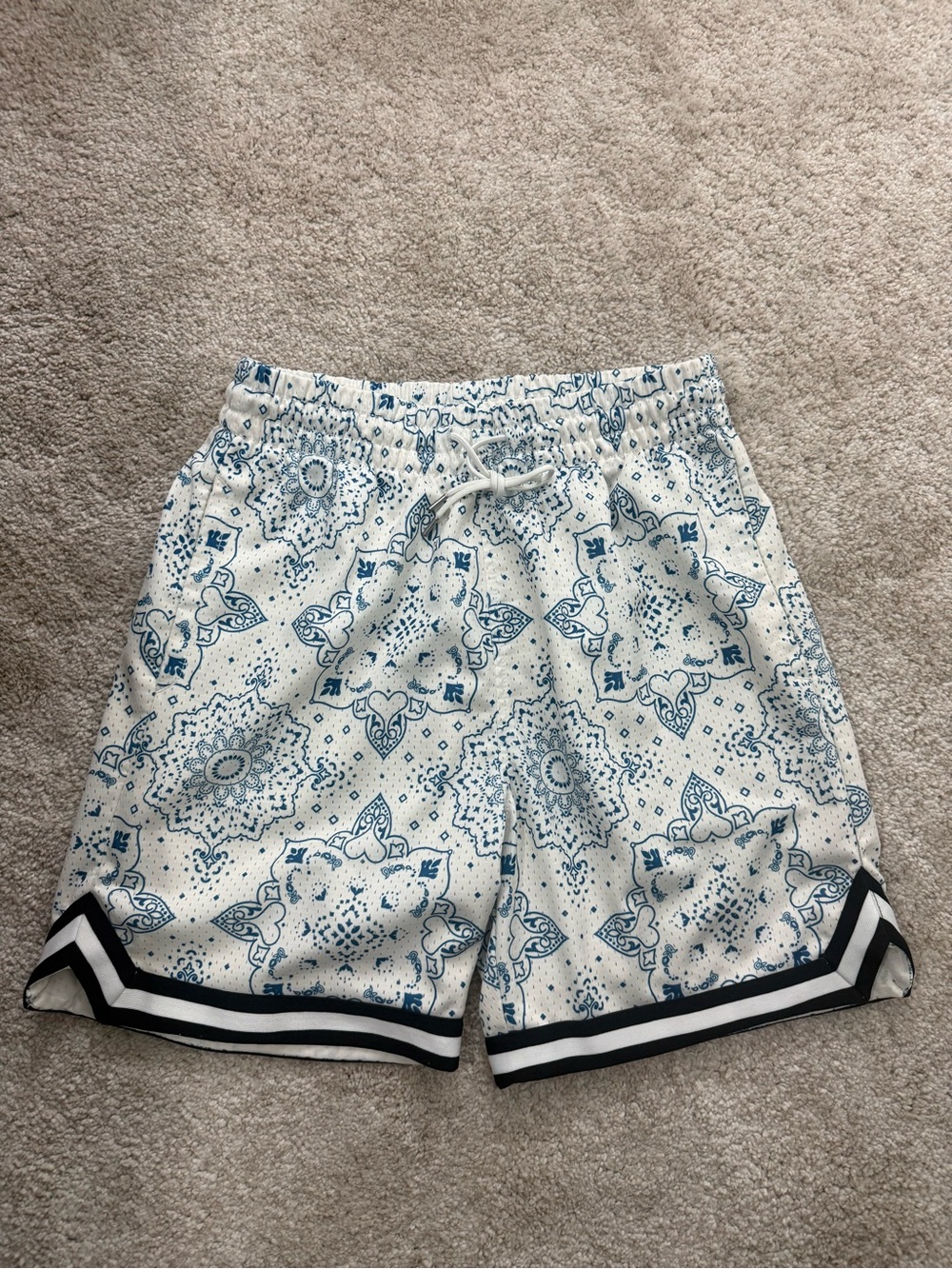 Men's Blue Paisley Print Drawstring Shorts